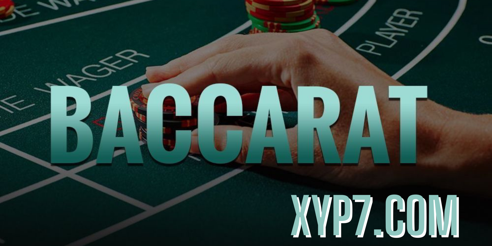 xyp7.com